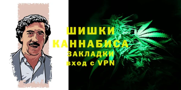 индика Остров