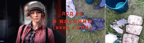 индика Остров