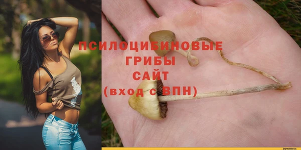 ALPHA PVP Осинники