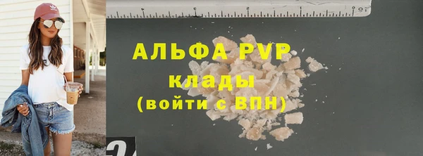 СК Пересвет