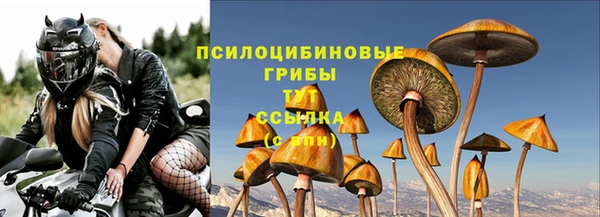индика Остров