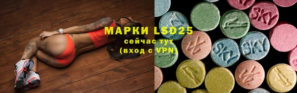 индика Остров